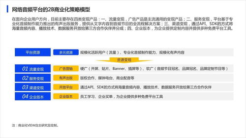 2020年網(wǎng)絡(luò)音頻app商業(yè)化研究報(bào)告