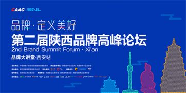因賽集團董事長王建朝 洞察為品牌賦能 品牌大講堂分享